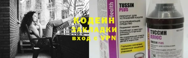 индика Белоозёрский