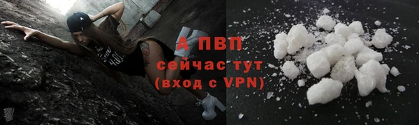 спиды Беломорск