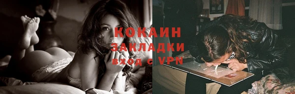 индика Белоозёрский