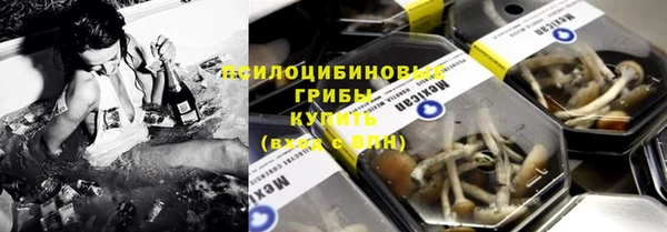 эйфоретик Богданович