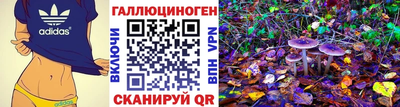 ссылка на мегу   Котельнич  Псилоцибиновые грибы MAGIC MUSHROOMS 